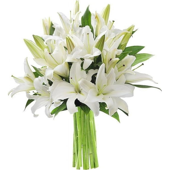 KaBloom : 10 White Lilies, Next-Day Delivery, Gift for Every Occasion.