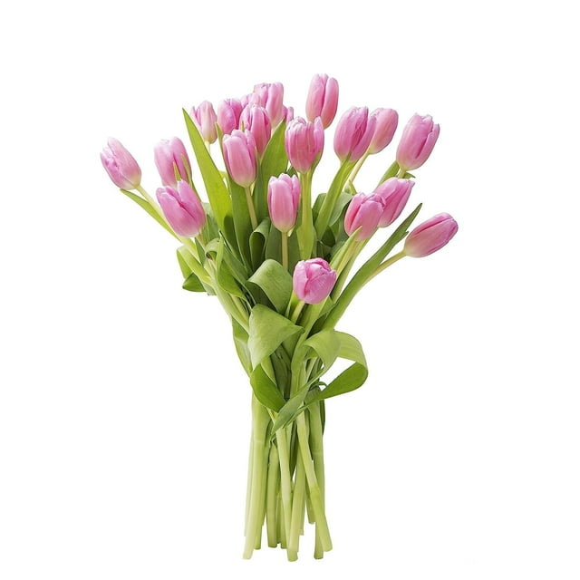 KaBloom : 20 Pink Tulip, Next-Day Delivery, Gift for Every Occasion
