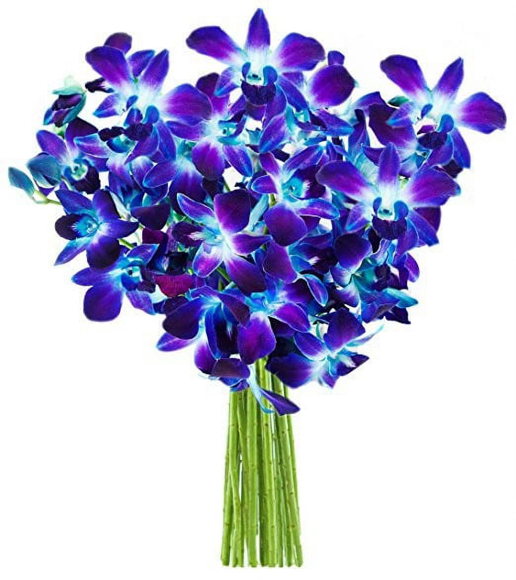 KaBloom : Bouquet of Fresh 10 Blue Dendrobium Orchids, Next-Day Delivery.