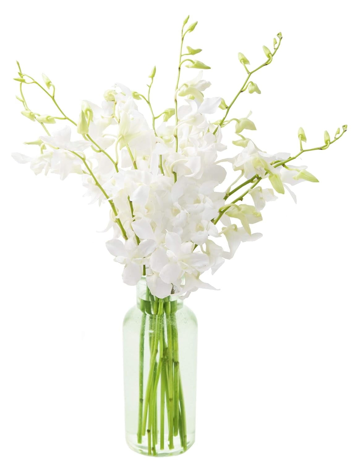 KaBloom : Fields of Tranquility Bouquet of 20 White Orchid With Vase.Gift for Birthday, Sympathy, Anniversary, Get Well, Thank You, Valentine, Mother’s Day Fresh Flowers