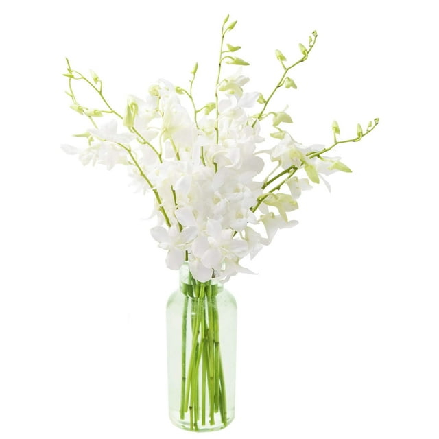 KaBloom : Fields of Tranquility Bouquet of 20 White Orchid With Vase.Gift for Birthday, Sympathy, Anniversary, Get Well, Thank You, Valentine, Mother’s Day Fresh Flowers