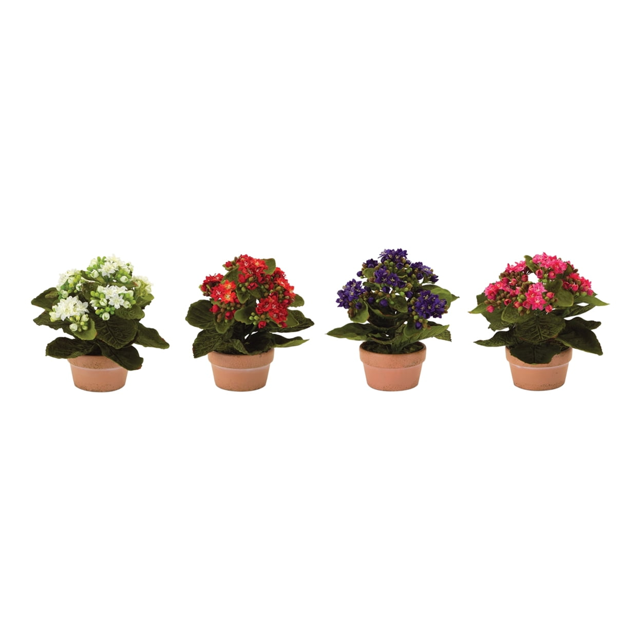 Kalanchoe With Pot (Set Of 4) 7"H Polyester