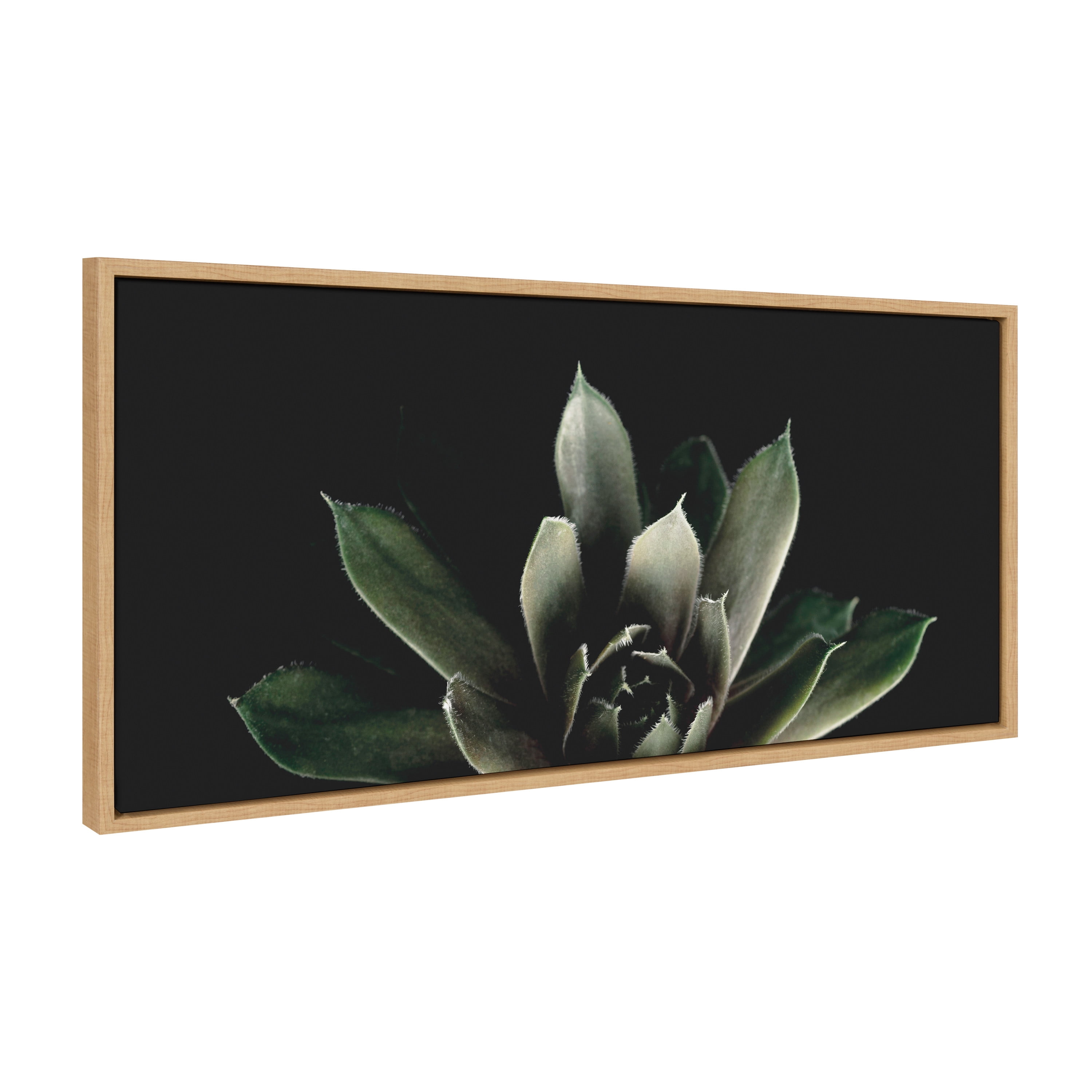 Kate and Laurel Sylvie Salutation Framed Canvas Wall Art by Emiko and Mark Franzen of F2Images, 18x40 Natural, Dramatic Dark Botanical Plant Art for Wall