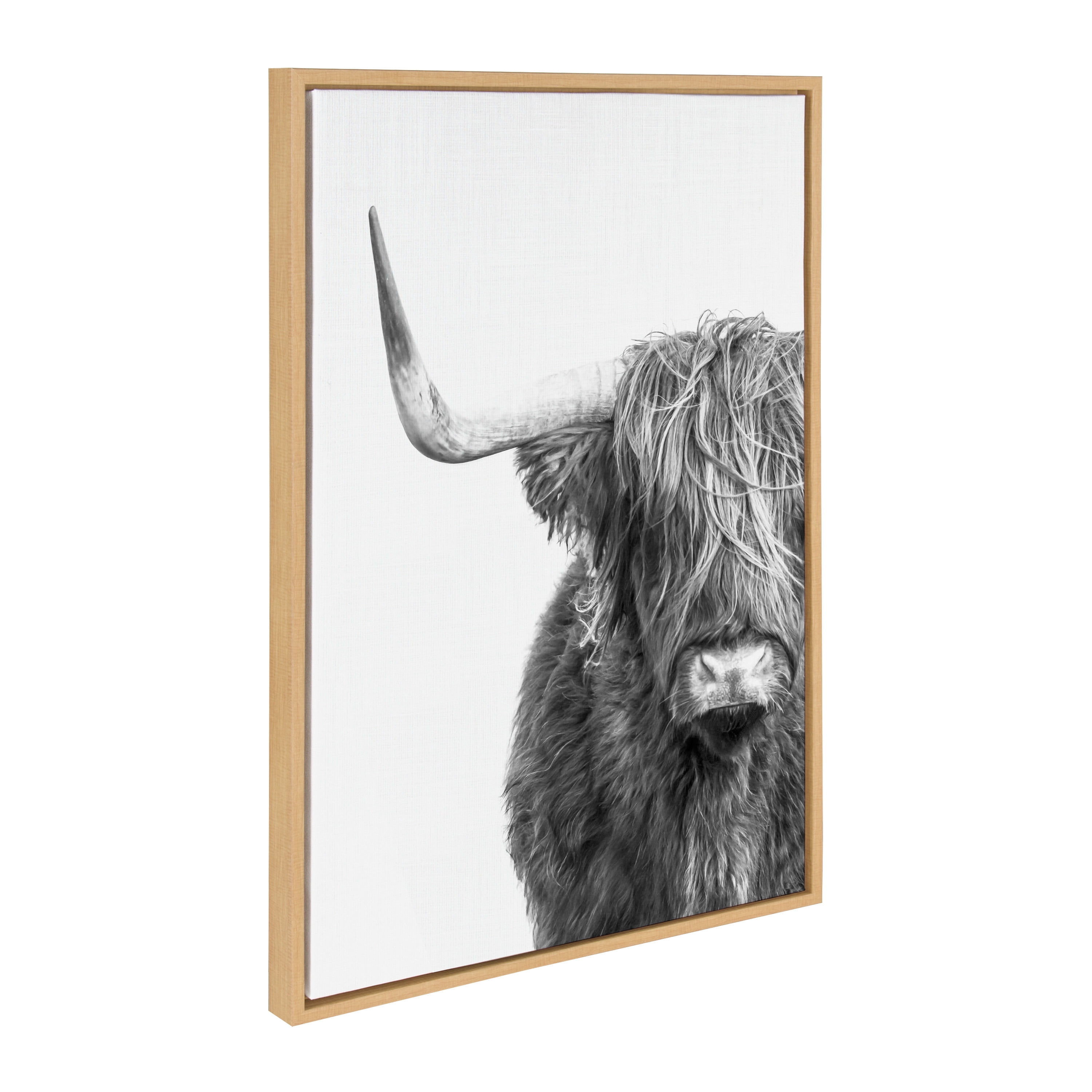 Kate and Laurel Sylvie B&W Highland Cow No. 1 Framed Canvas Wall Art by Amy Peterson Art Studio, 23x33 Natural, Black and White Animal Portrait Art