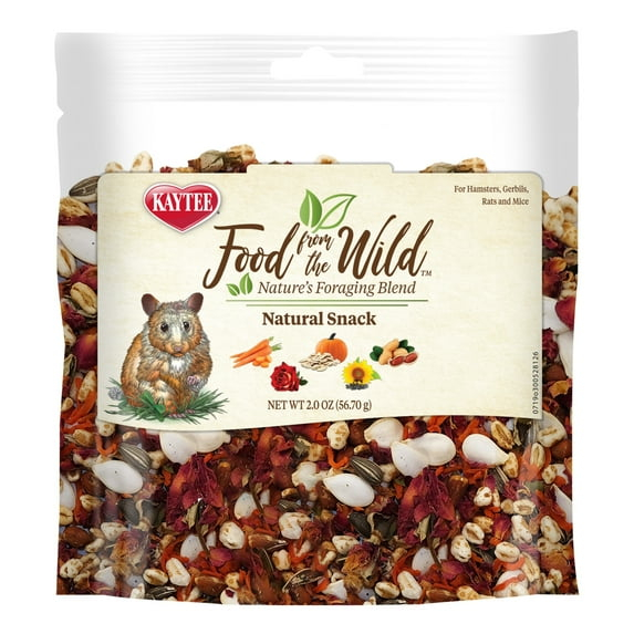 Kaytee Food From the Wild Natural Snack