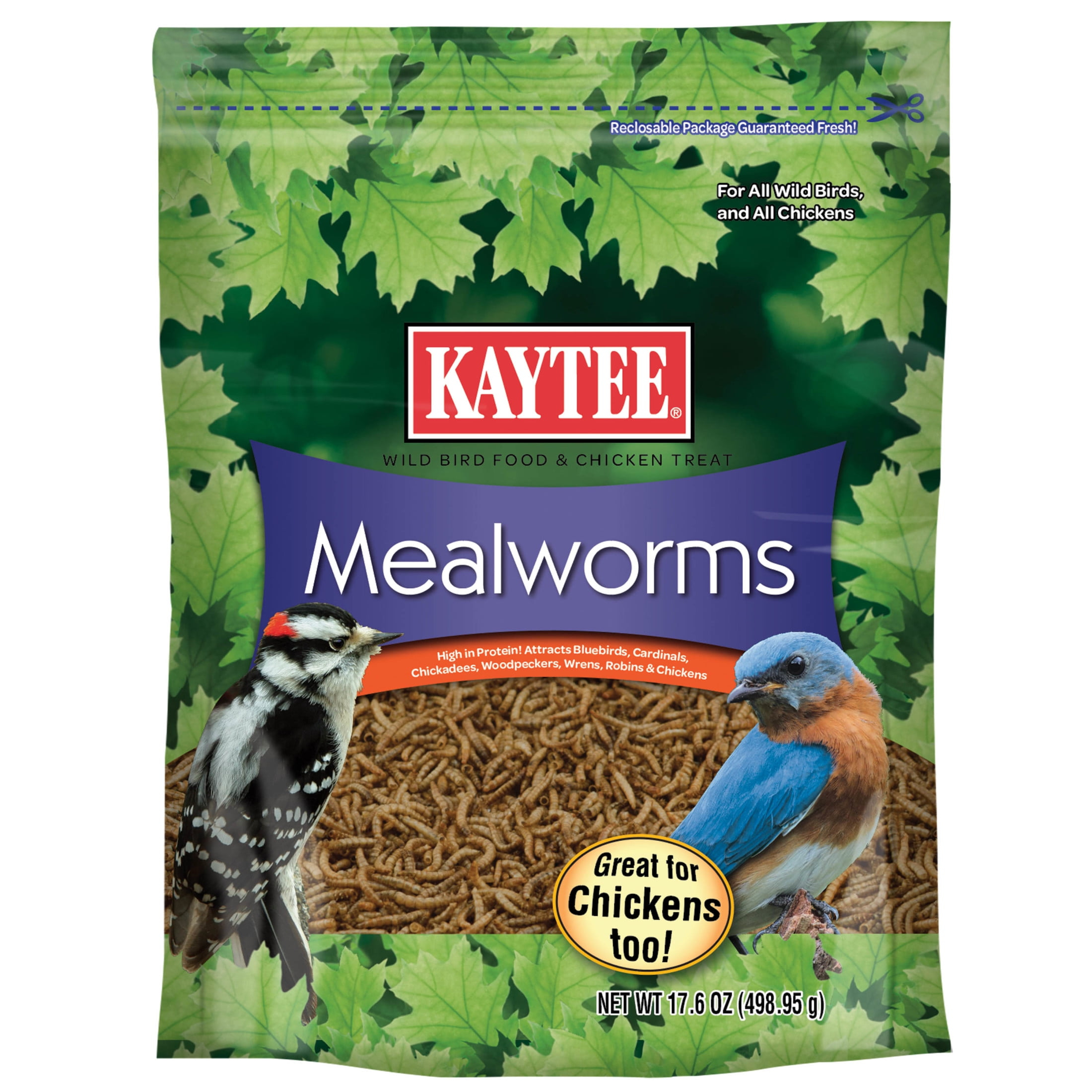 Kaytee Mealworms Bird Food - 17.6 Oz