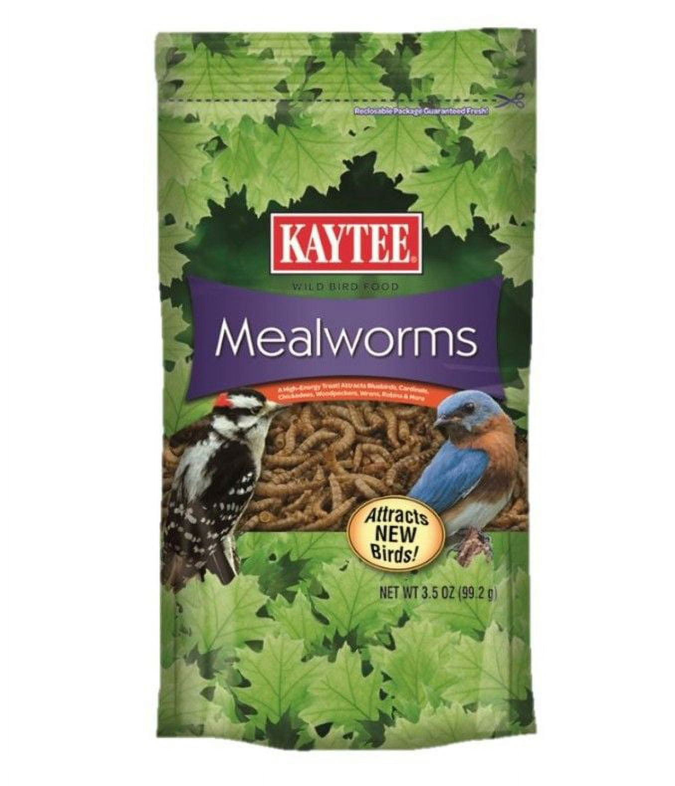 Kaytee Bluebird Dried Mealworm Mealworms 3.5 oz