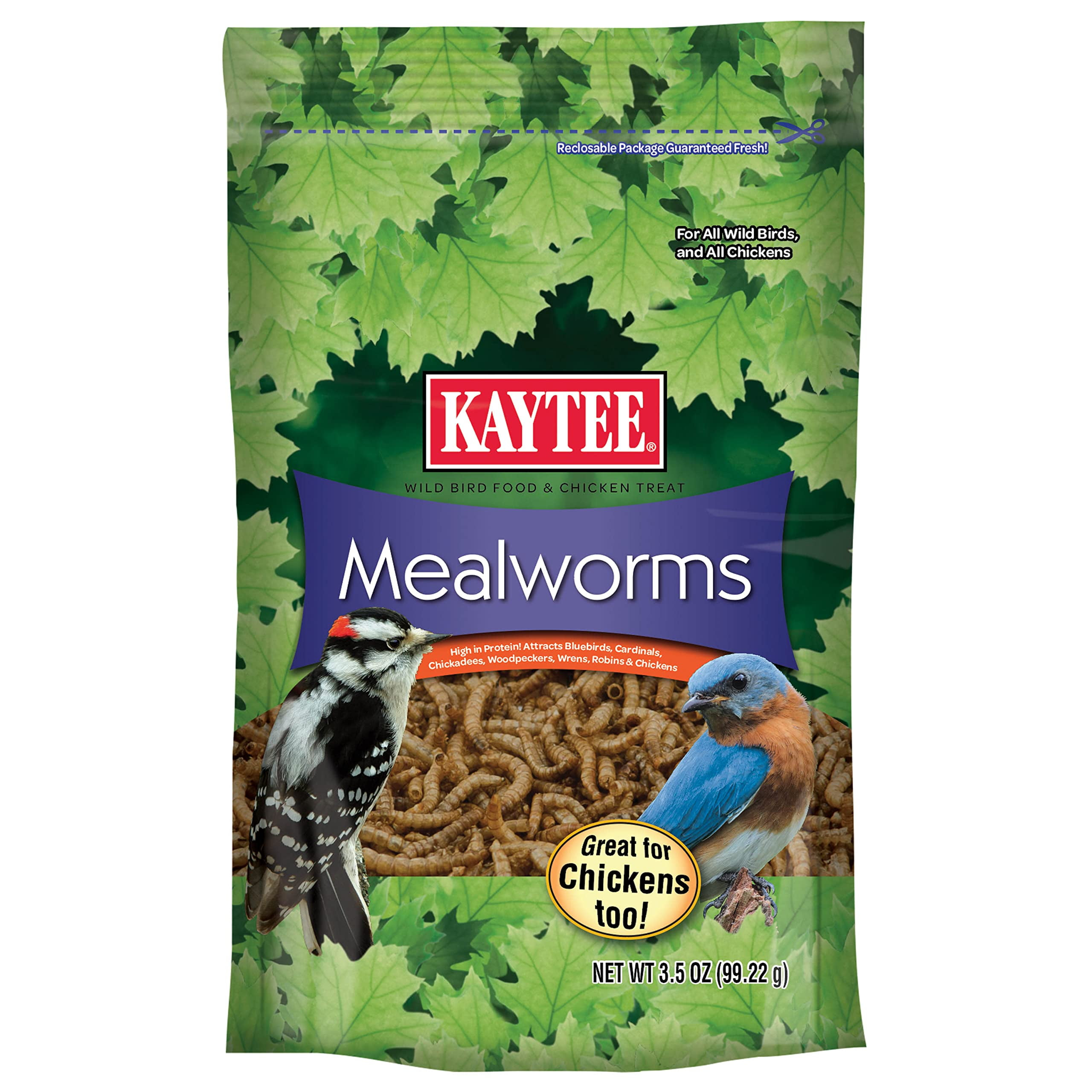 Kaytee Bluebird Dried Mealworm Mealworms 3.5 oz