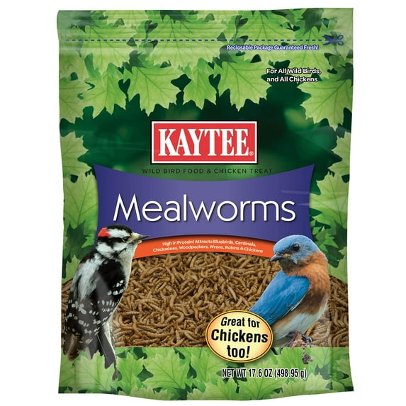 Kaytee Mealworms Bird Food - 17.6 Oz