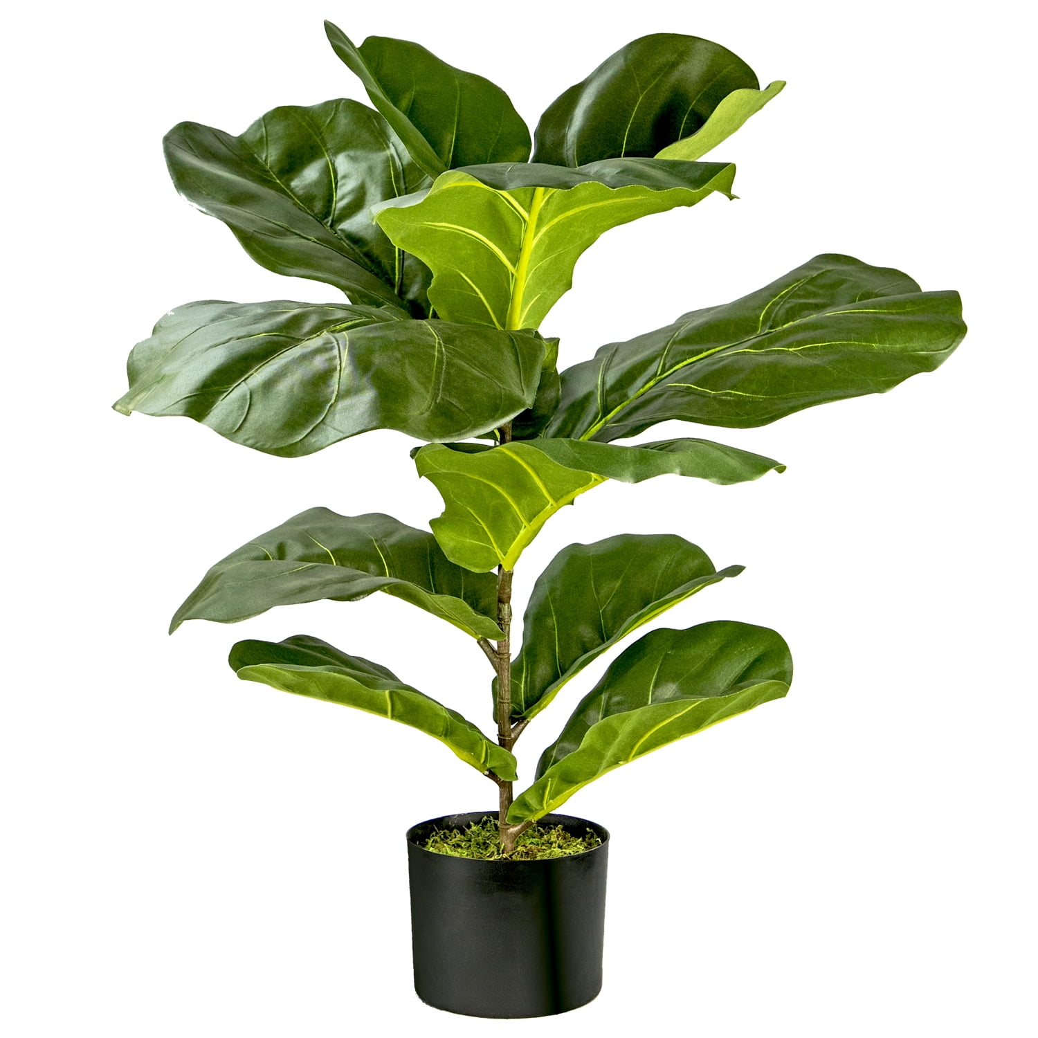 LCG Florals 30" Artificial Fiddle Leaf Fig Bush in Plastic Black Pot