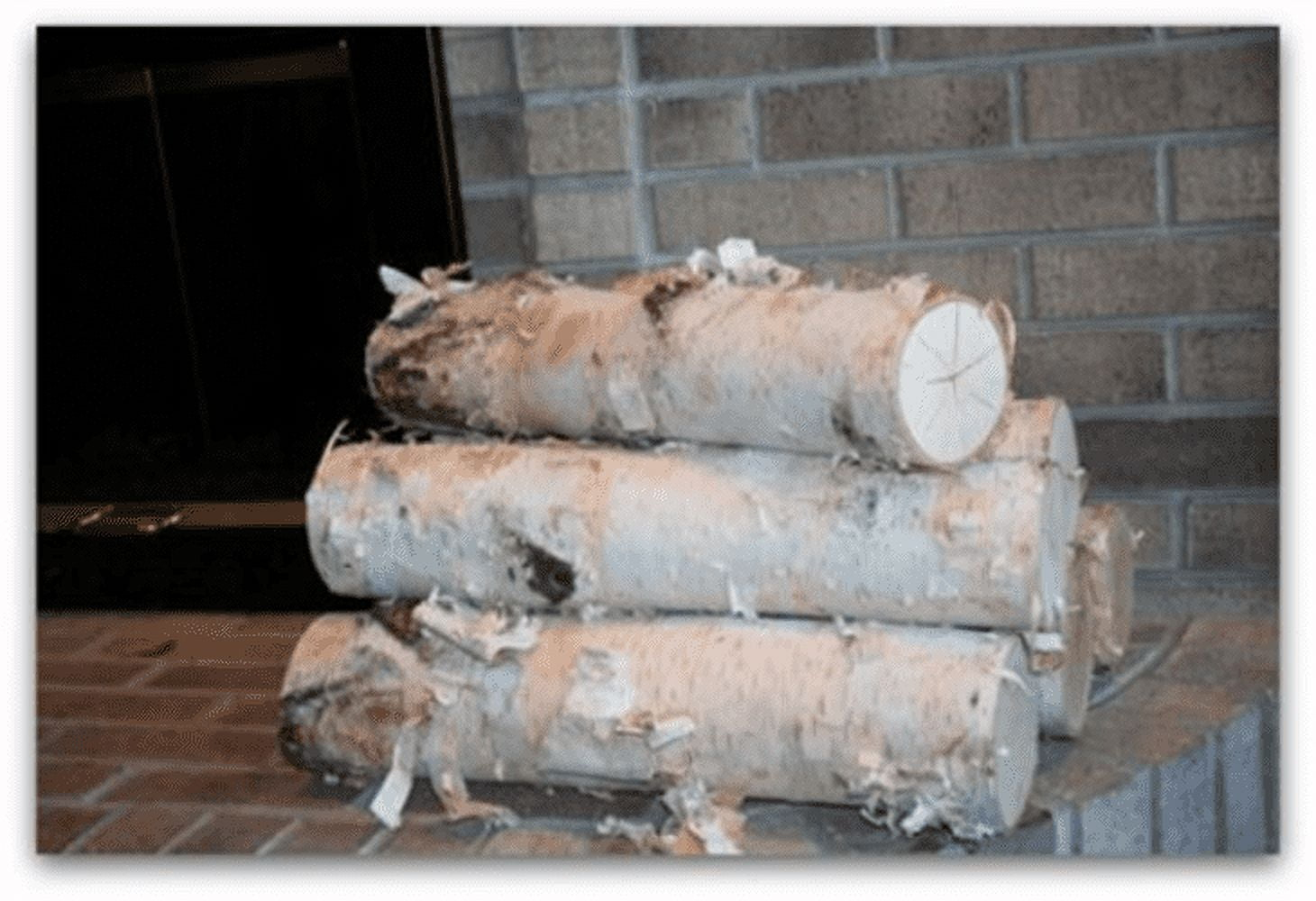 Large Fireplace White Birch Logs (5 logs) 18in long x 5-6in diameter