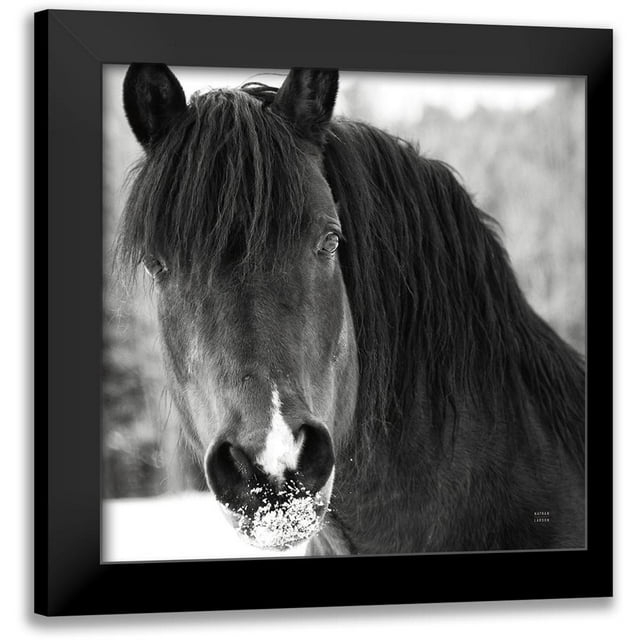 Larson, Nathan 20x20 Black Modern Framed Museum Art Print Titled - Winter Horse II