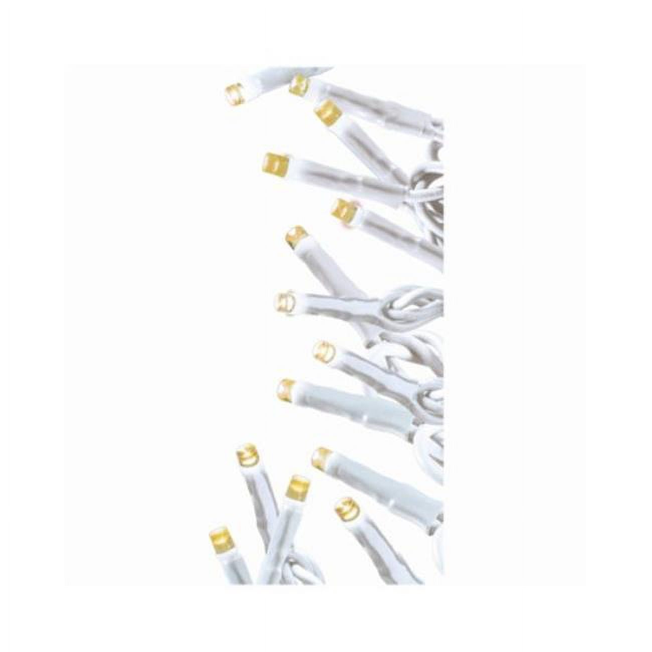 Ledup Manufacturing Group 116113 Holiday Wonderland 100 Twinkle Lights, Warm White - Pack of 12