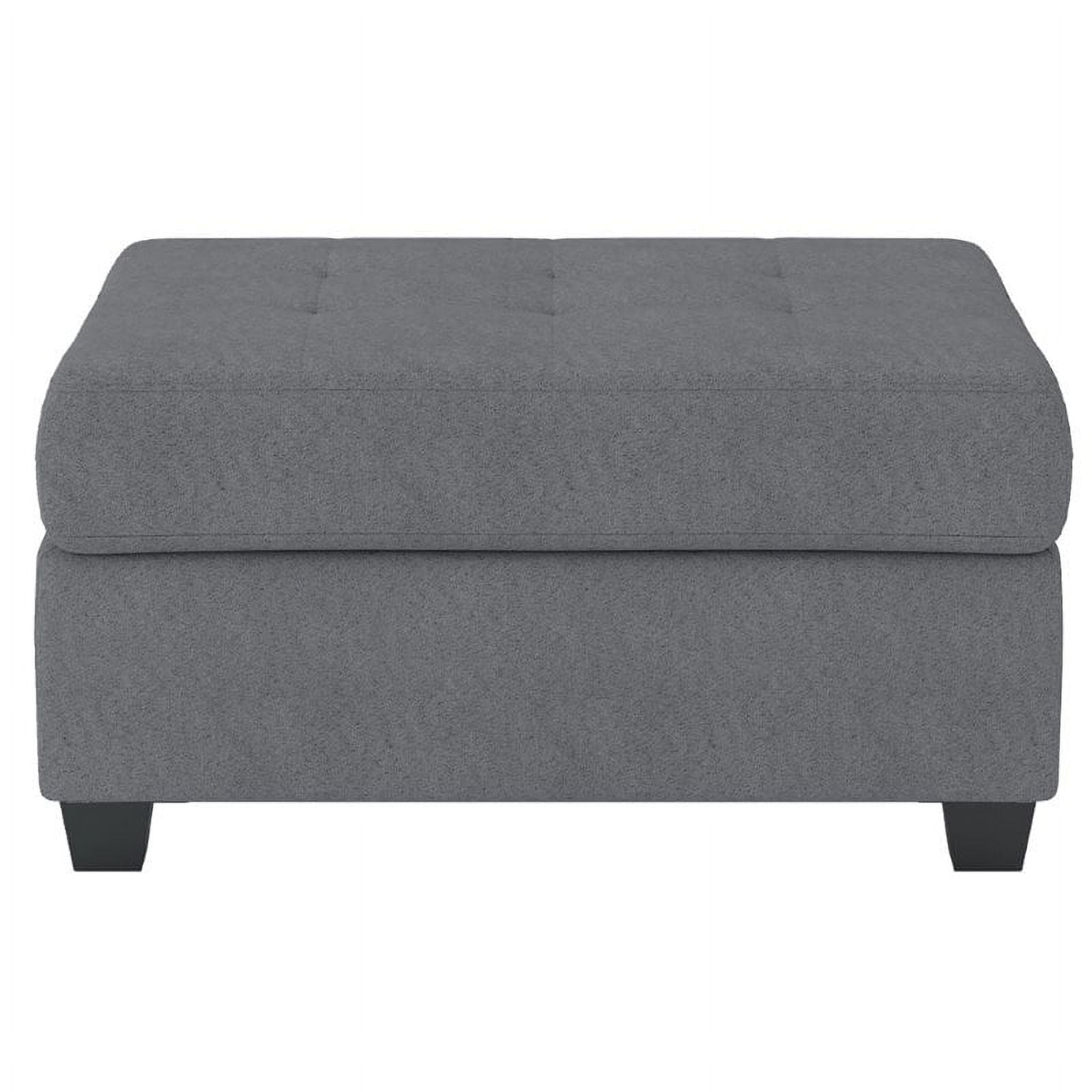 Lexicon Maston Microfiber Ottoman with Storage in Dark Gray