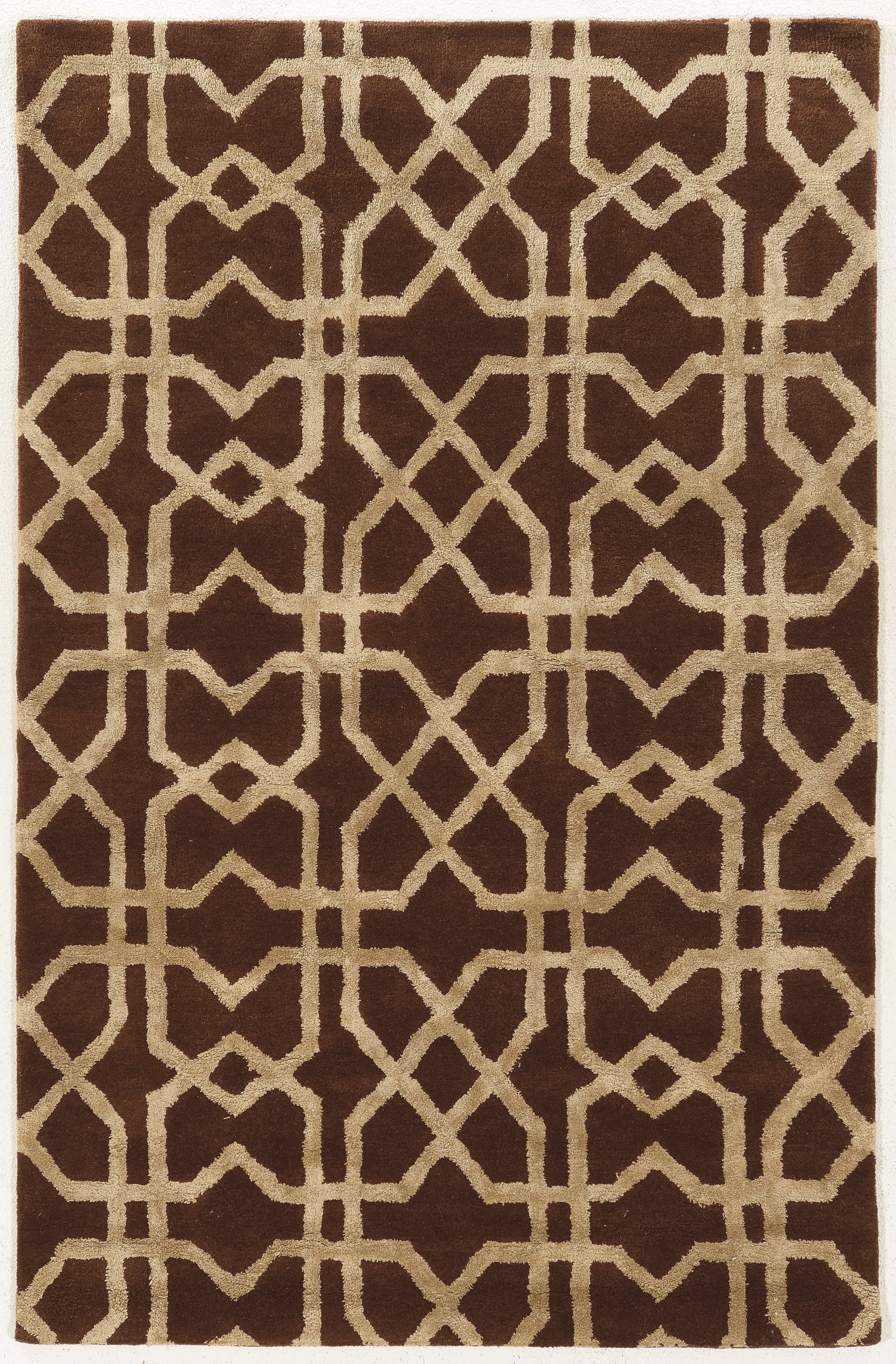 Linon Aspire X's Hand Tufted Wool 8'x11' Rug in Brown