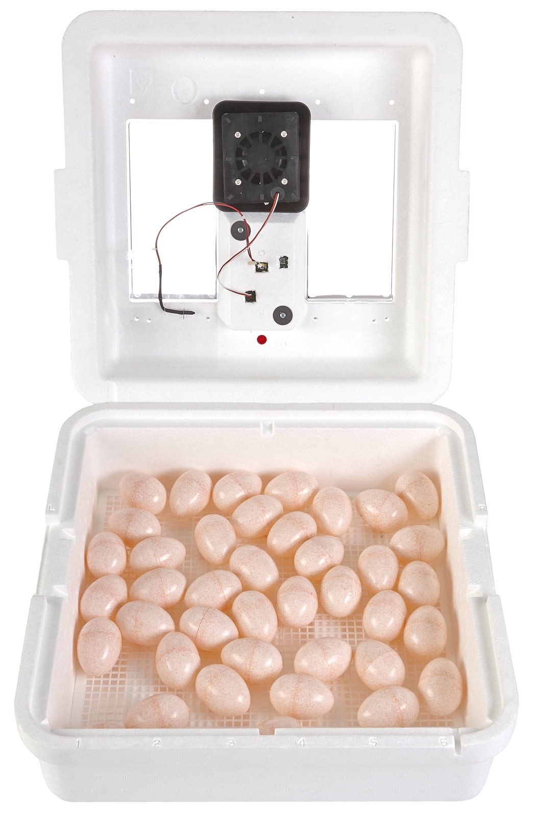 Little Giant White Digital Still Air Incubator