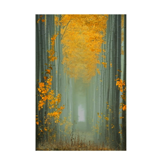 Lydia Jacobs 'Misty Autumn Path' Canvas Art