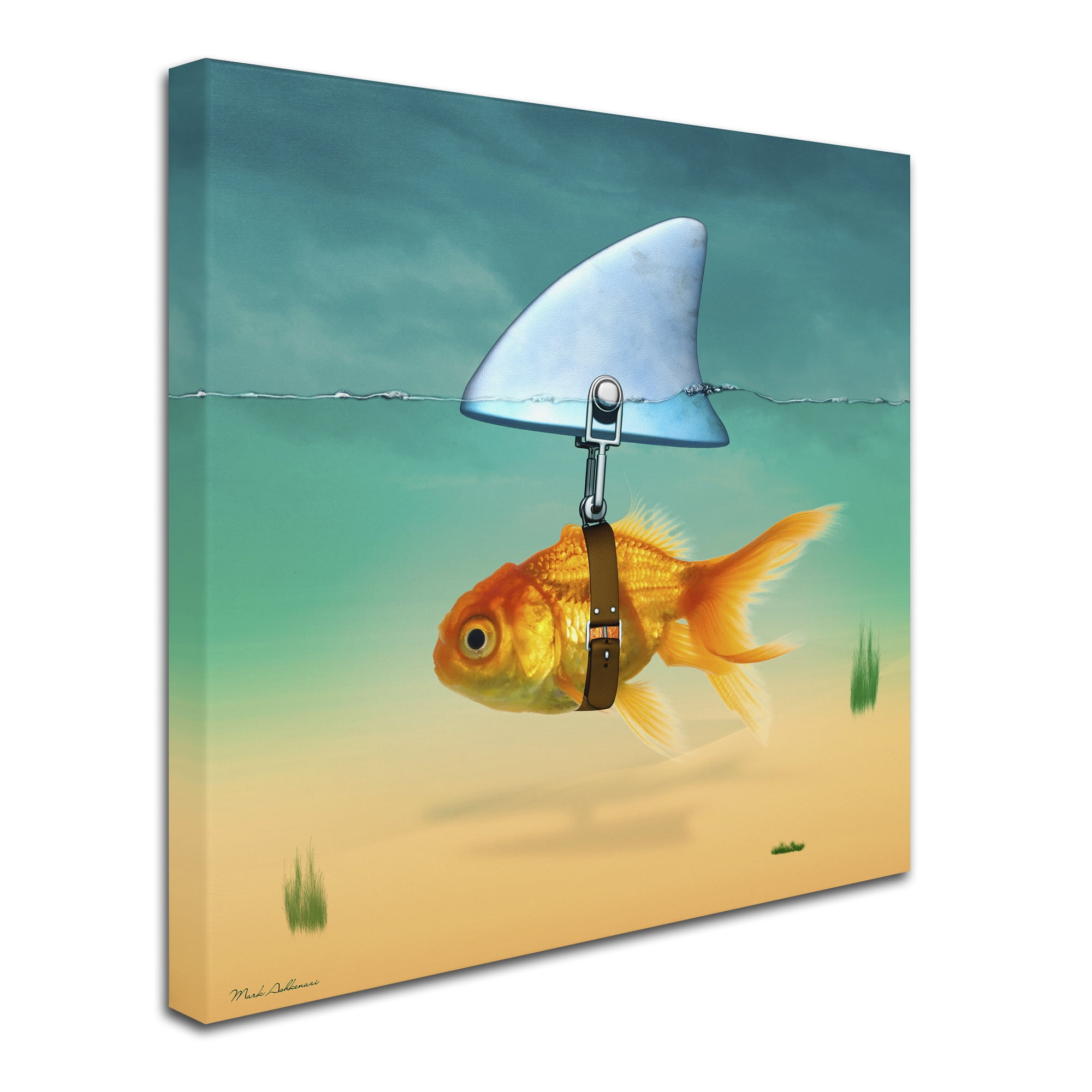 Trademark Fine Art - 14"x14" Mark Ashkenazi 'Gold Fish' Canvas Art