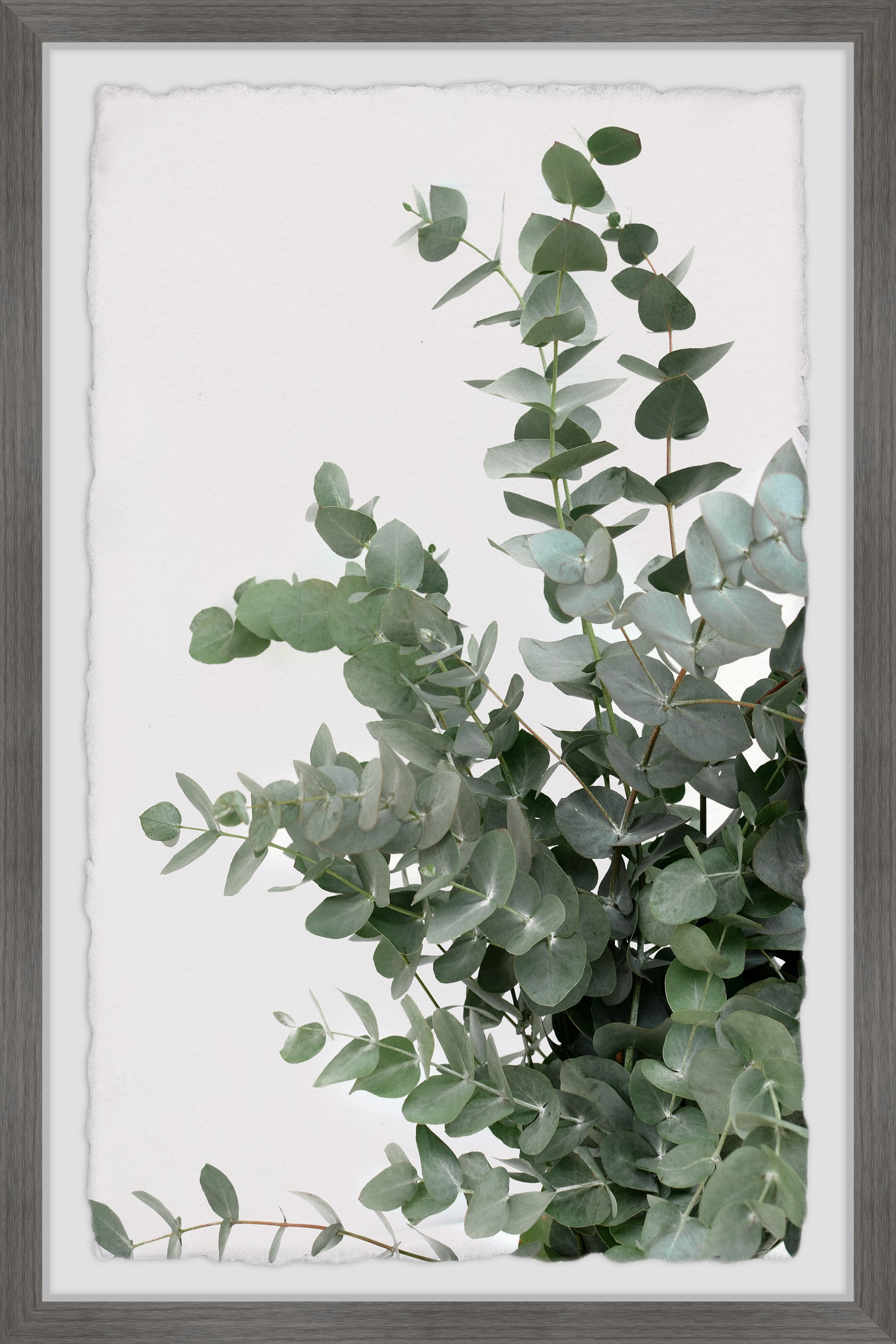 Marmont Hill Evergreen Shrub Framed Wall Art