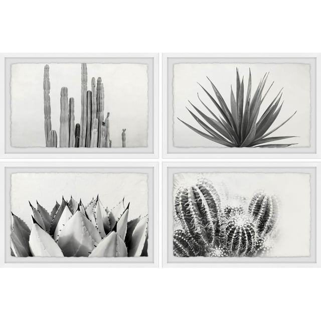 Marmont Hill Printed Framed Art Prints, Set of 4, by Morgan Hartley