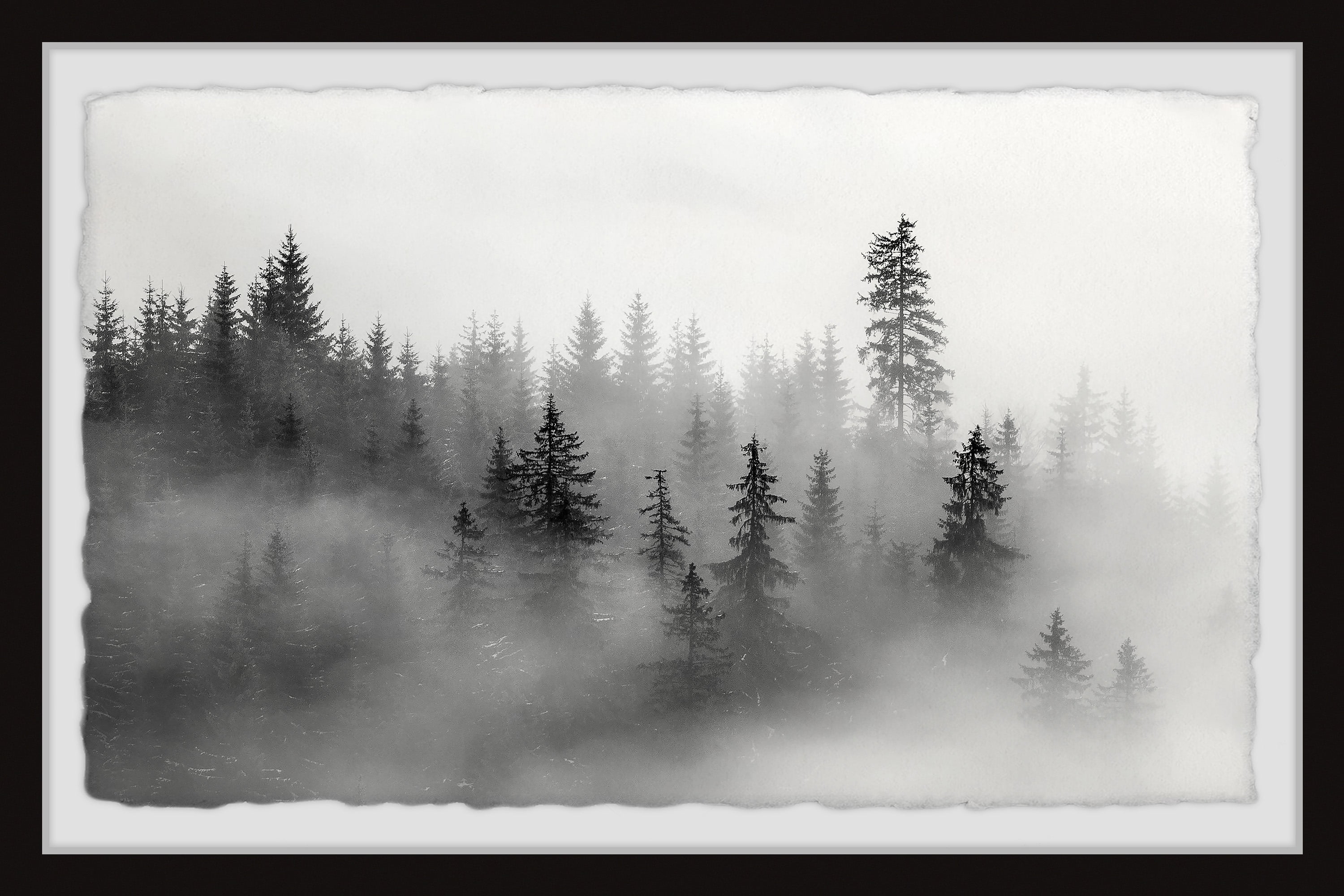 Marmont Hill The Mysterious Dark Forest Framed Wall Art