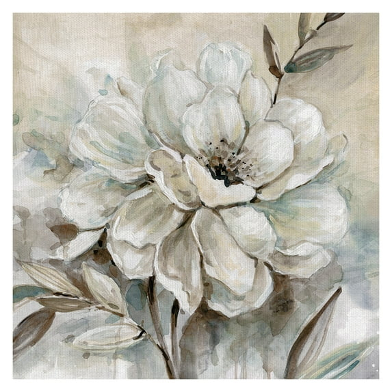 Masterpiece Art Gallery Neutral Bloom I Flower By Carol Robinson Canvas Art Print30" x 30"
