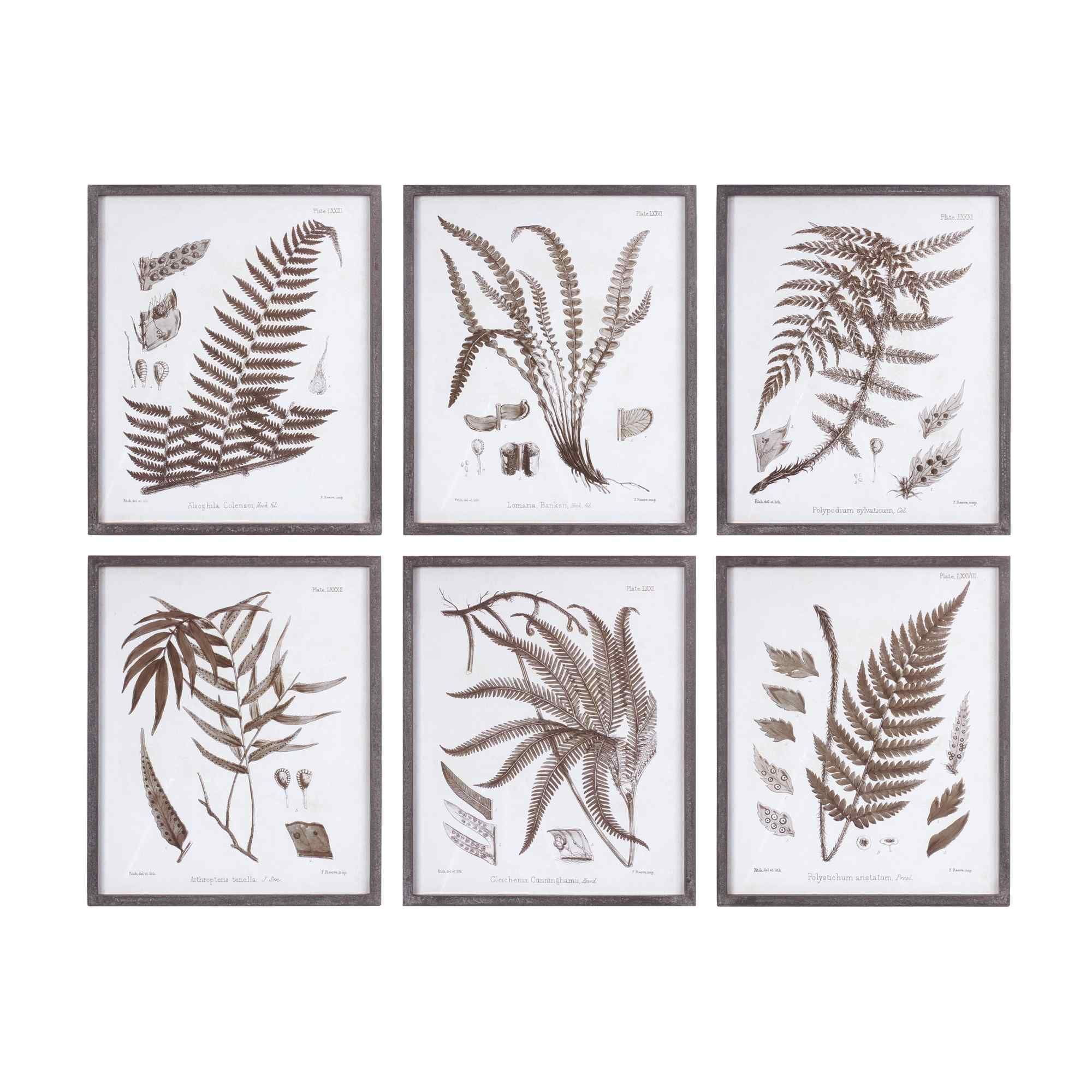 Love Happy Creations LLC " Fern " 6 - Pieces (Set of 6)