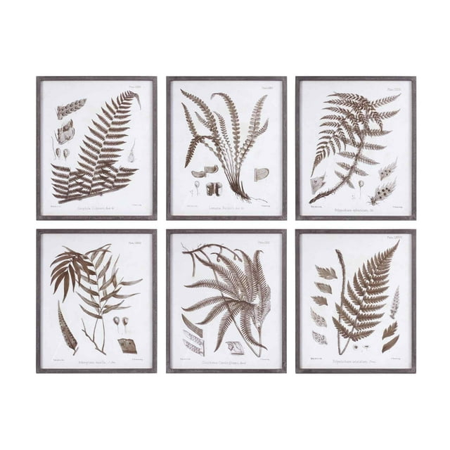 Love Happy Creations LLC " Fern " 6 - Pieces (Set of 6)