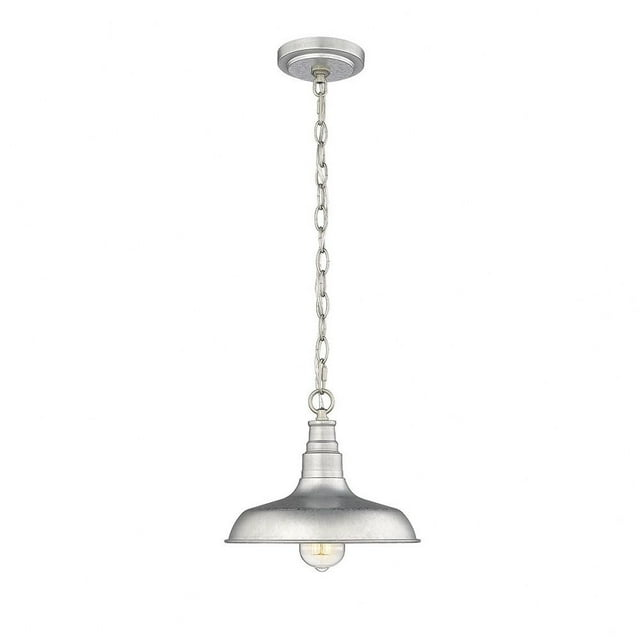 Millennium Lighting 1 - Light Pendant in  Galvanized