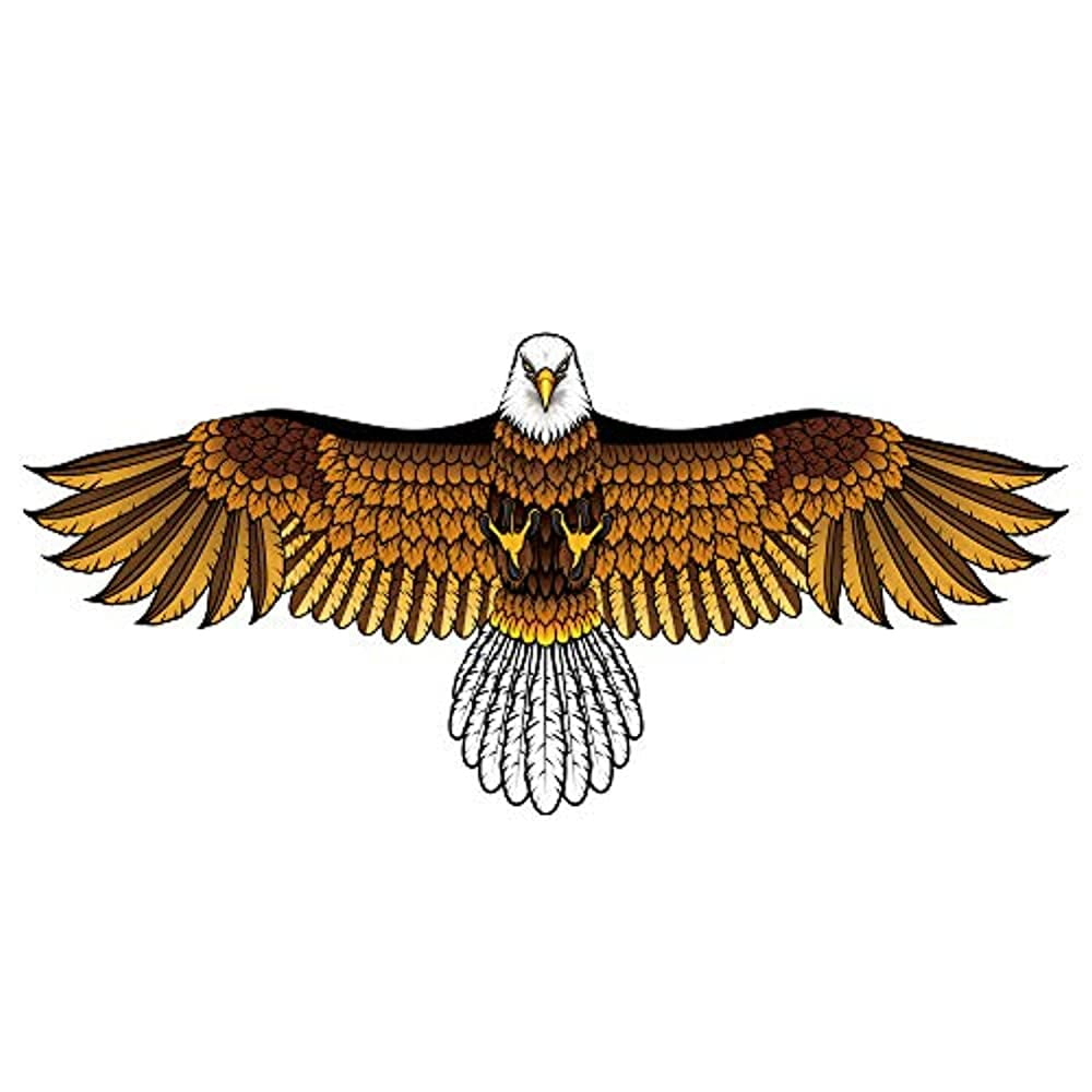 Mint s Colorful Life Eagle Kite for Kids Adults with 60 Wingspan