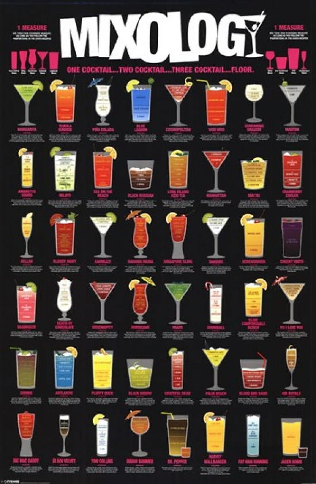Mixology Laminated Poster (24 x 36)
