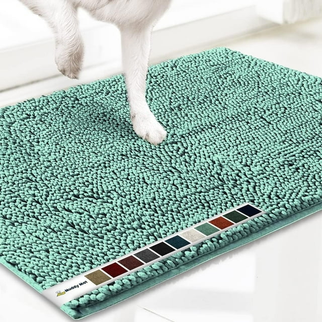 Muddy Mat Highly Absorbent  Soft Chenille Door Mat and Pet Rug Non Slip Thick Washable Mat for Indoor and Outdoor-Seafoam Green Medium 19"x30"
