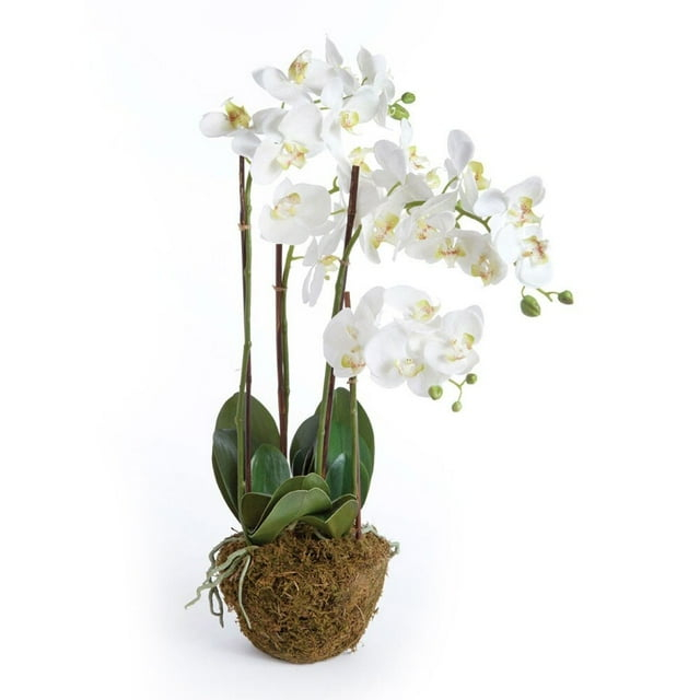 Napa Home and Garden Hand-crafted Phalaenopsis Orchid 30 inch Tall Drop-In