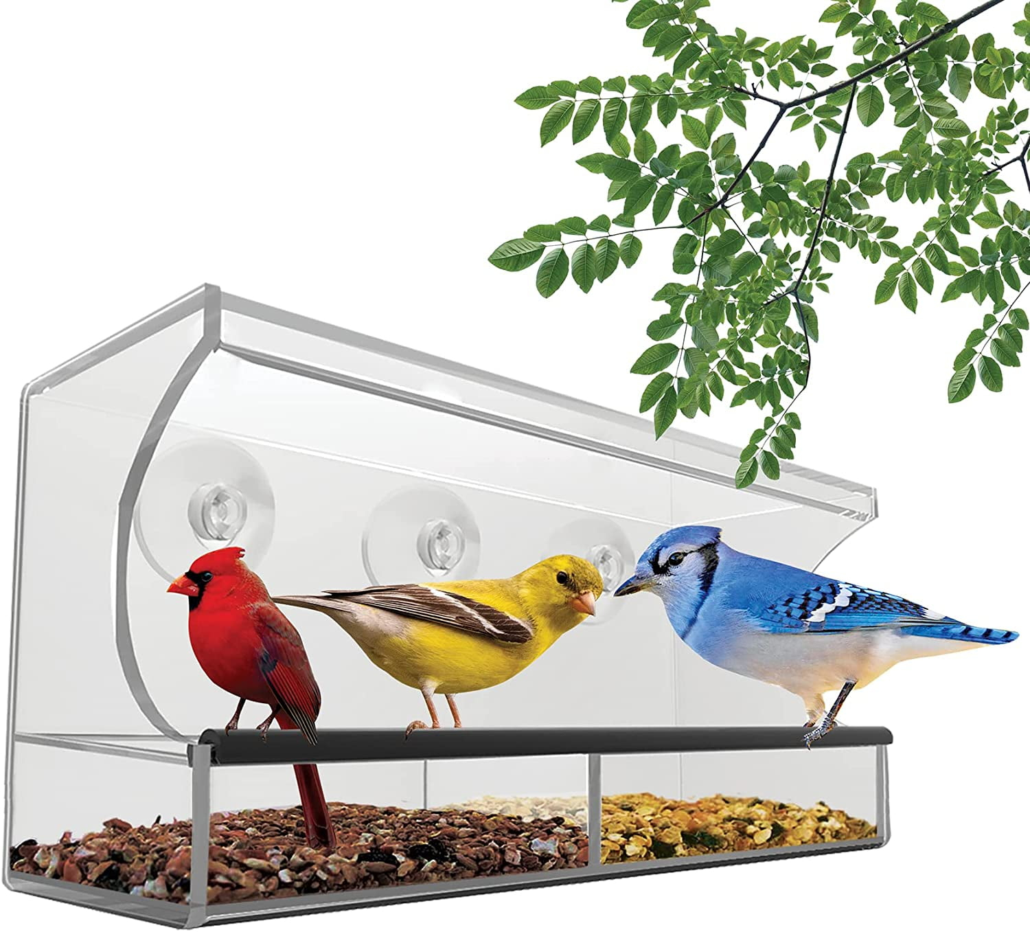 Nature’s Hangout Clear Suction Cup Window Bird Feeder for Wild Birds