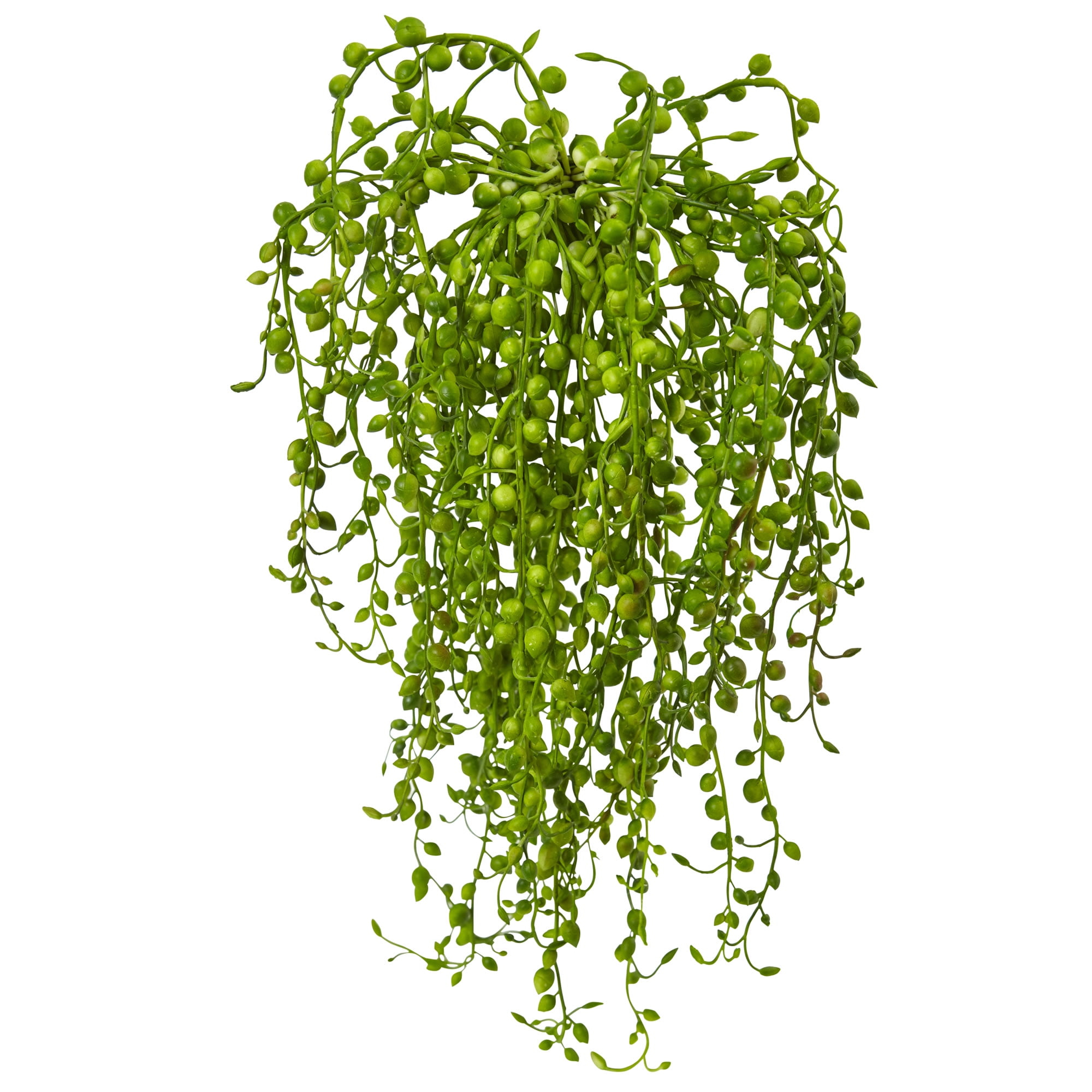 Nearly Natural 15in. Senecio Succulent Artificial Plant, Set of 3, Green