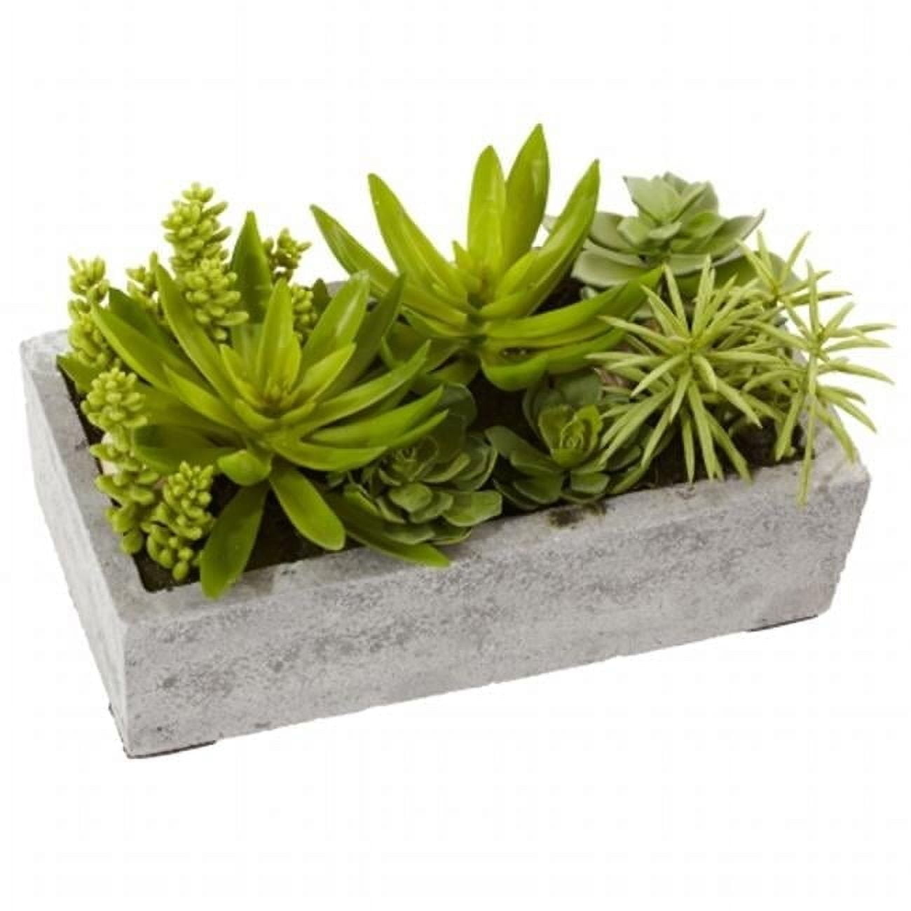 Nearly Natural 6.5" Succulent Garden Artificial Plant with Concrete Planter, Green