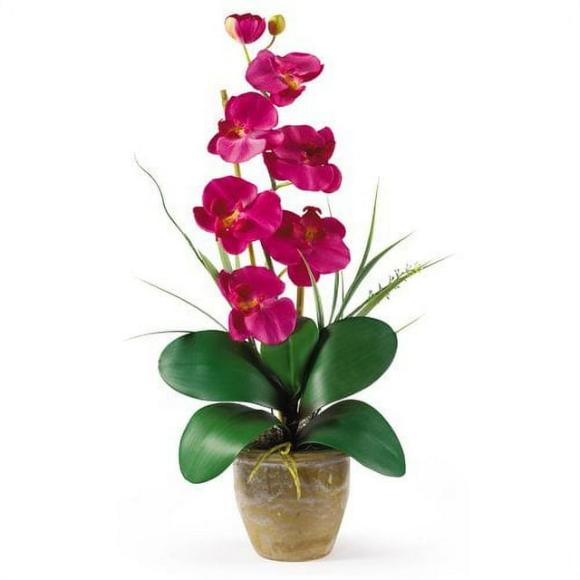 Nearly Natural Phalaenopsis Silk Orchid Flower Arrangement, Beauty