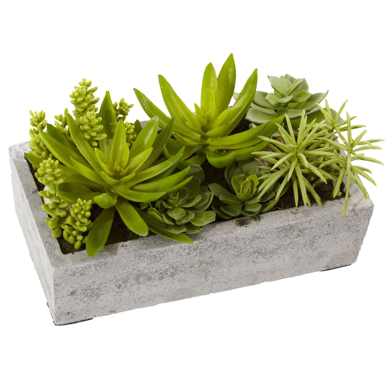 Nearly Natural 6.5" Succulent Garden Artificial Plant with Concrete Planter, Green