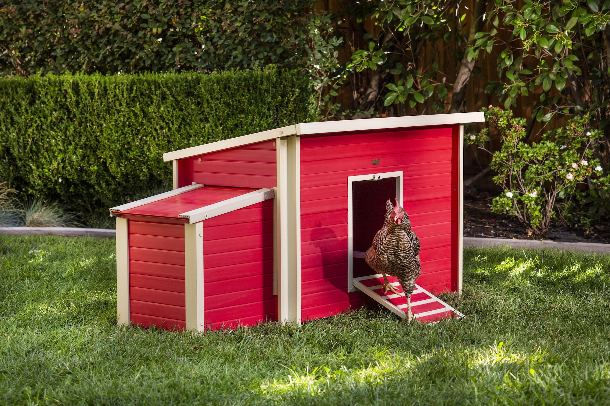 New Age Pet® ECOFLEX® Red Fontana Chicken Barn, Eco-Friendly and Non-Toxic Urban Coop for 2-3 Chickens, Easy Assembly, with Nesting Box and Roosting Bars, Moisture and Odor Resistant