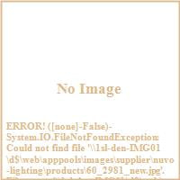 Nuvo Lighting Nuvo Odeon 2 Light Small Flush