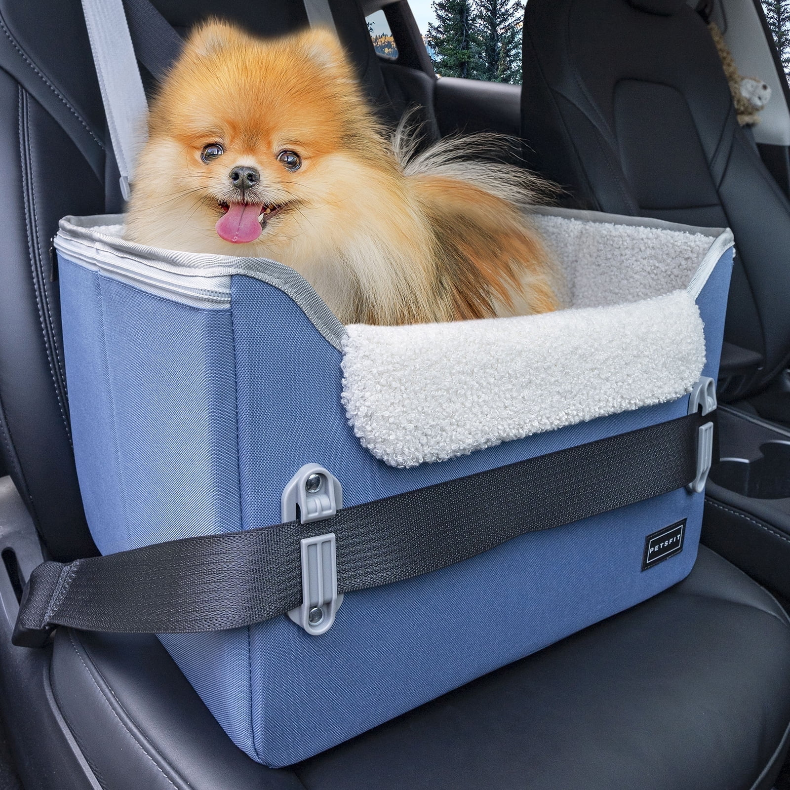 PETSFIT Small Dog Car Seat, Puppy Portable Dog Booster seat for Car with Clip-On Leash, Adjustable Straps Suitable for Small Pets Up to 25lbs ,Navy Blue
