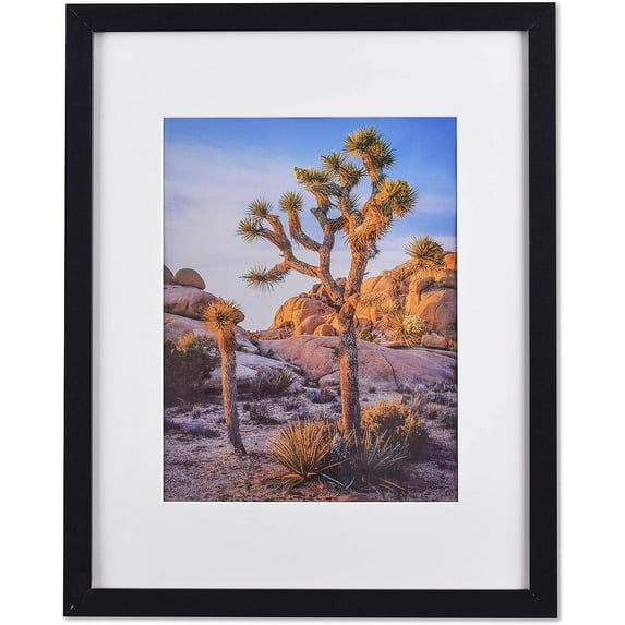 A PLUS MAX 20x24 Picture Frame with mat for 16x20 Picture with Polished Plexiglass Horizontal and Vertical Formats with Included Hanging Hardware-Black