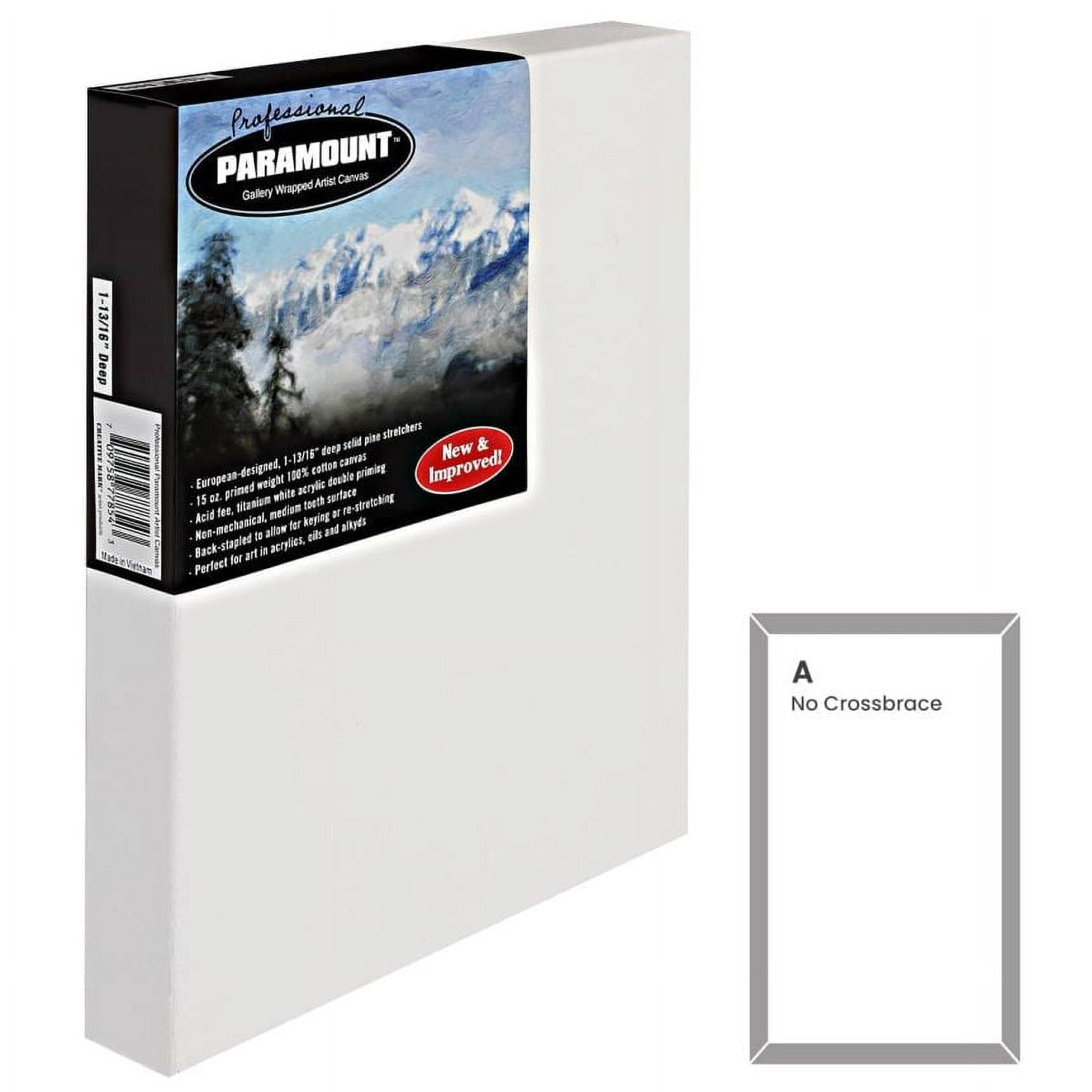 Paramount Artist Large Blank Canvas For Painting, Thick Gallery Wrapped Heavy Duty Canvas, Single 10x20""