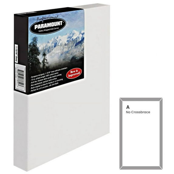 Paramount Artist Large Blank Canvas For Painting, Thick Gallery Wrapped Heavy Duty Canvas, Single 10x20""