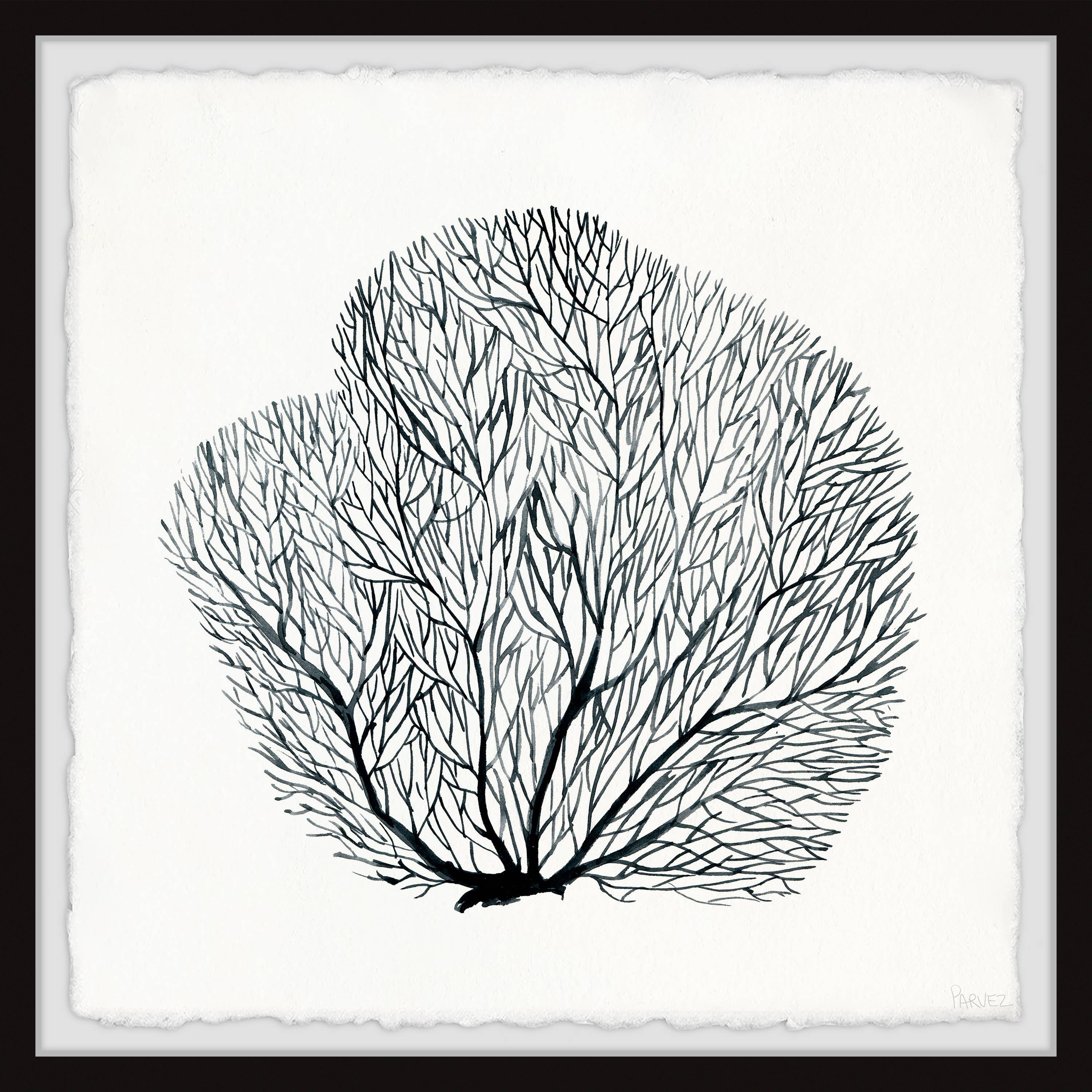 Parvez Taj Sea Fern Framed Wall Art