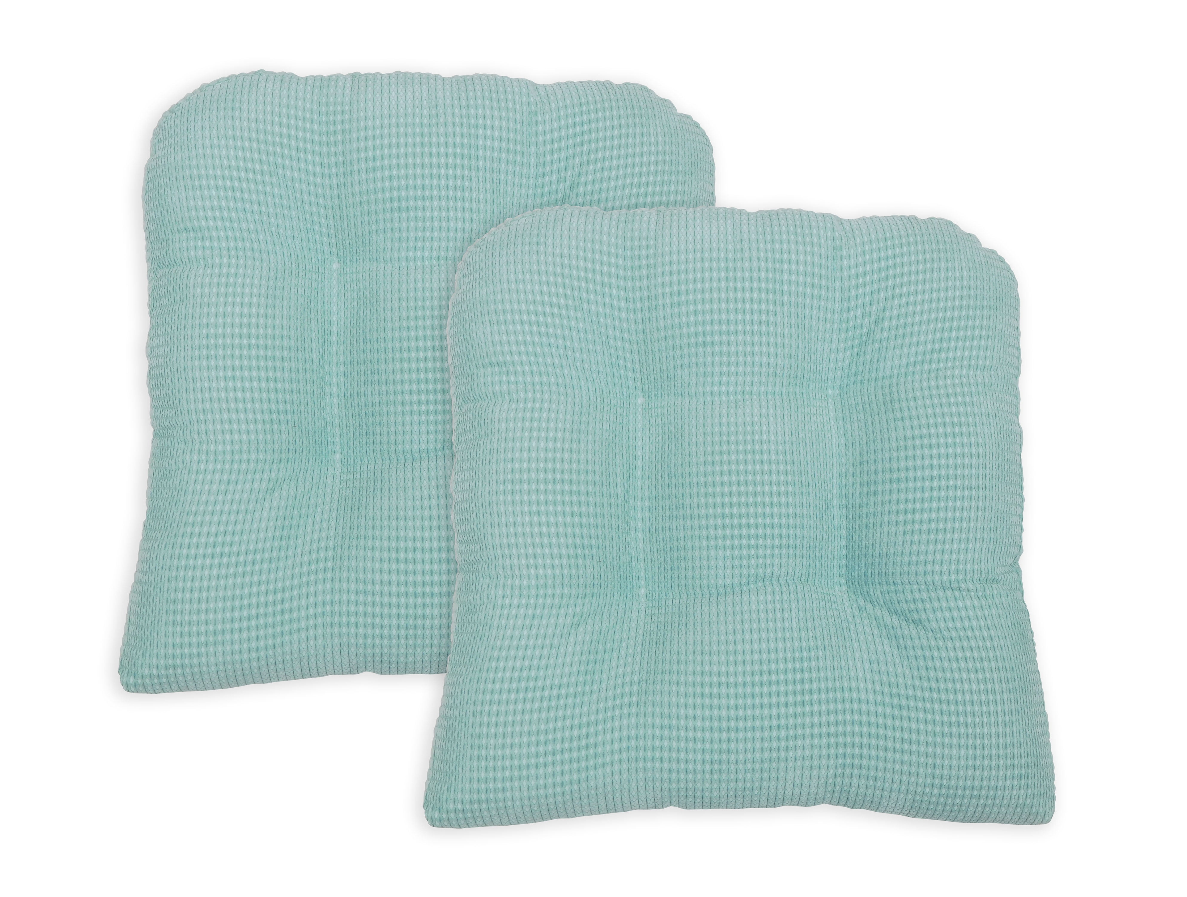 Perfect Performance Tyler Set of 2 Chairp Cushions Aqua
