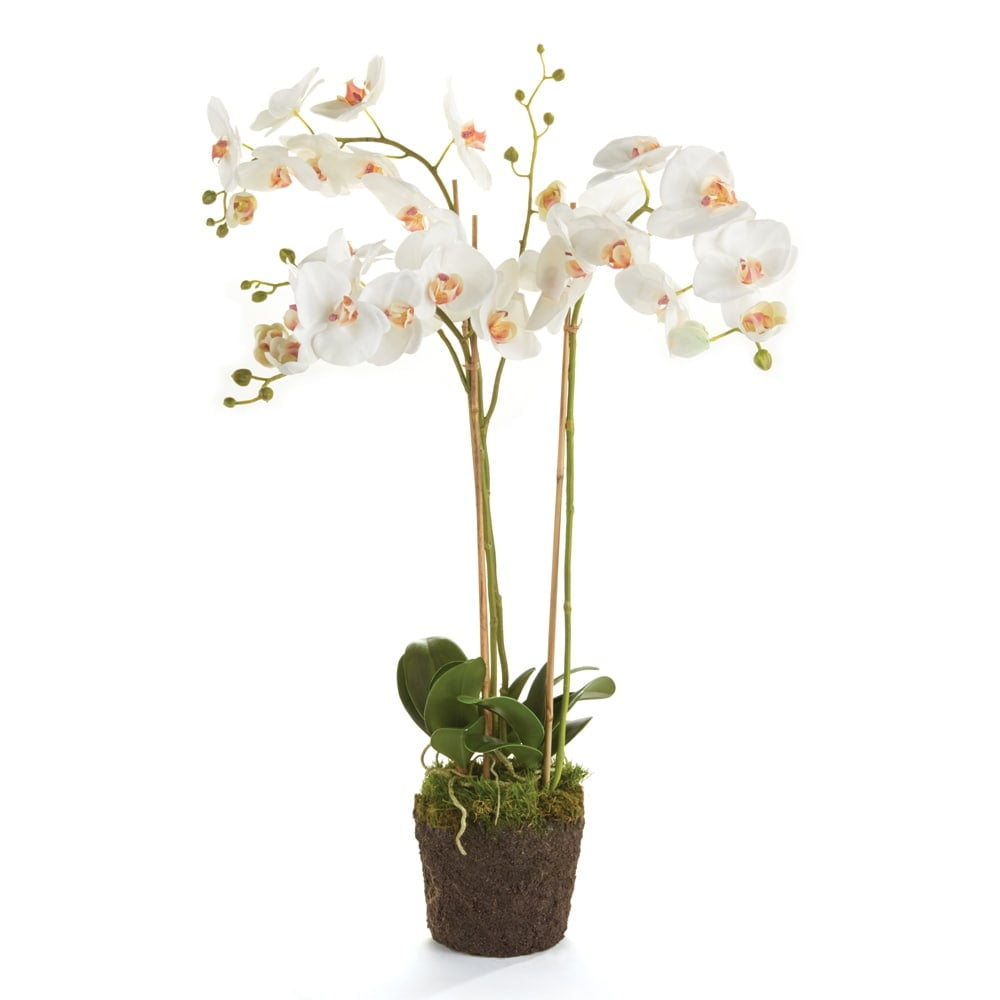 Plum & Post Phalaenopsis Orchid Faux (Fake) Drop-In 31"
