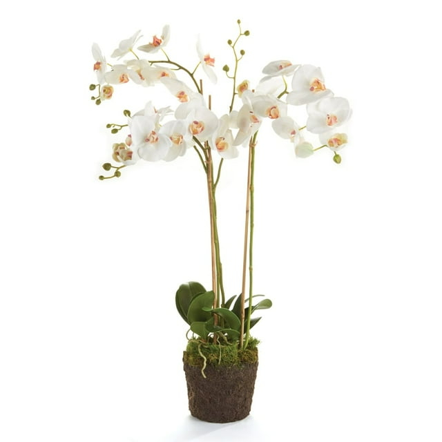 Plum & Post Phalaenopsis Orchid Faux (Fake) Drop-In 31"