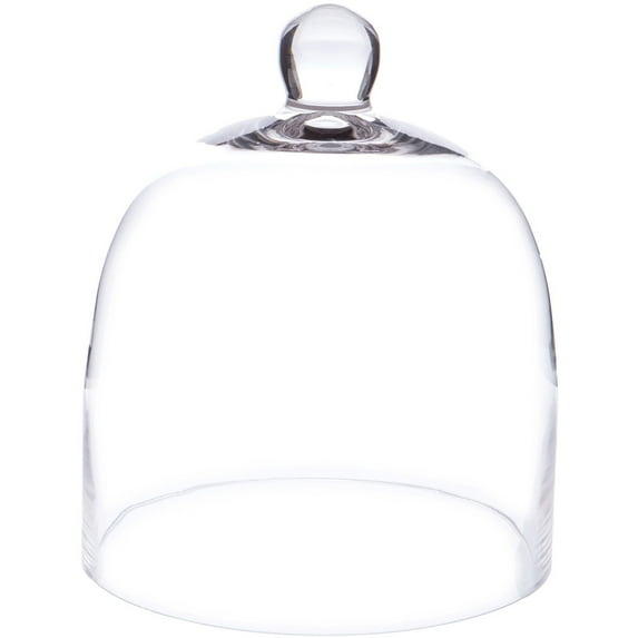 Plymor 7.875 inch x 9.5 inch Bell Jar Glass Display Dome Cloche (Interior size 7.5" x 7.5")