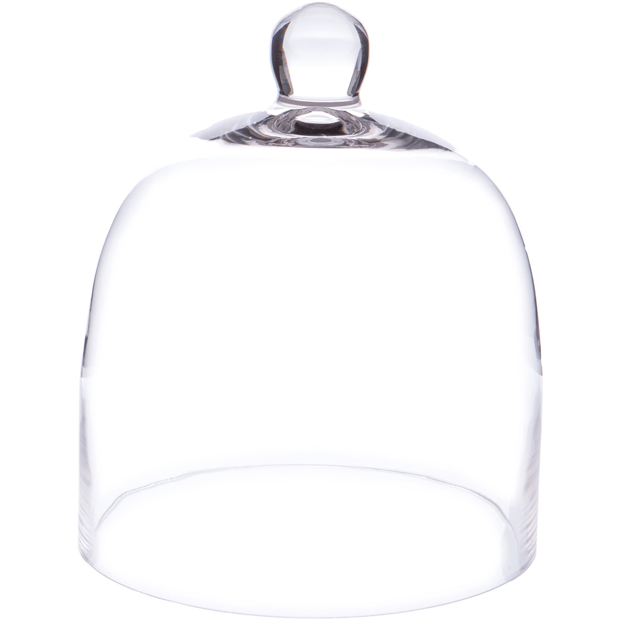Plymor 7.875 inch x 9.5 inch Bell Jar Glass Display Dome Cloche (Interior size 7.5" x 7.5")